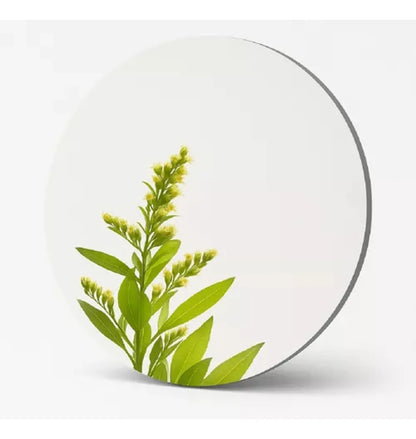 3 Espejos Acrílicos Autoadhesivos Flexibles 30×40 cm